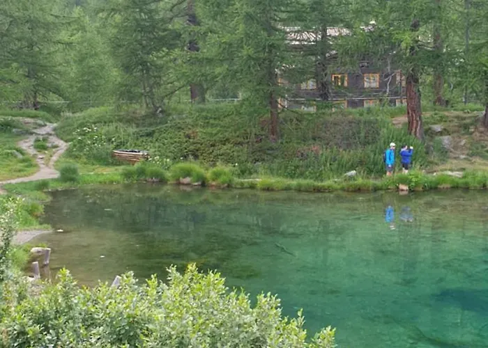 Profumo Di Legno A Cielo Alto La Coquille *